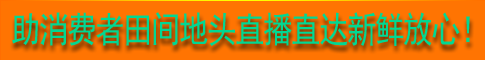 助消费者田间地头直播直达新鲜放心！